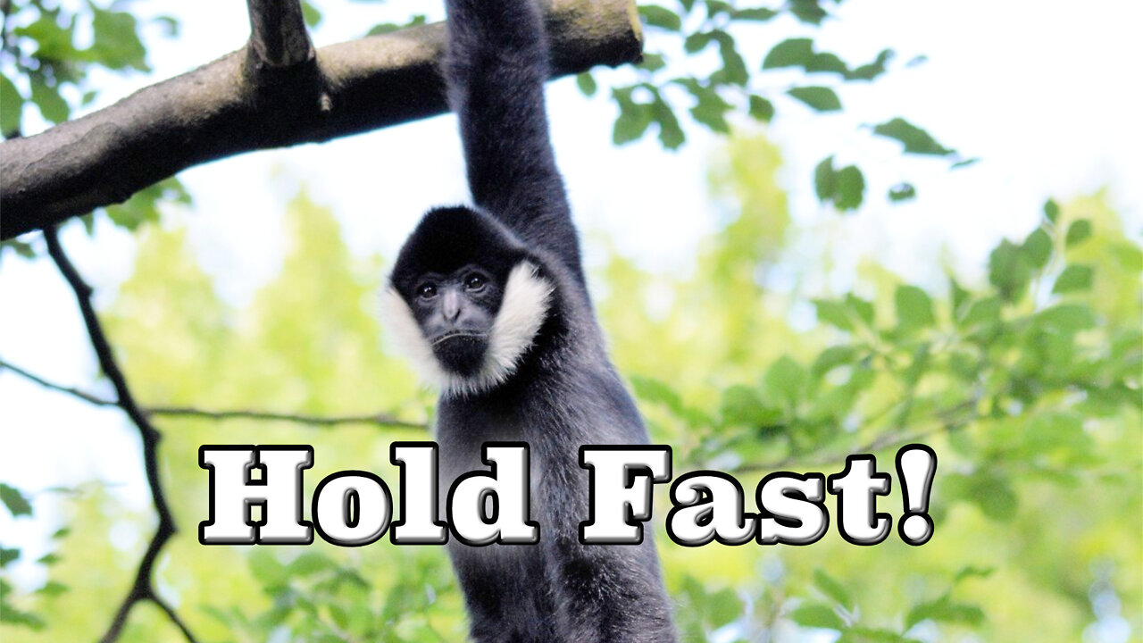 "Hold Fast" - Letters to the Seven Churches #8