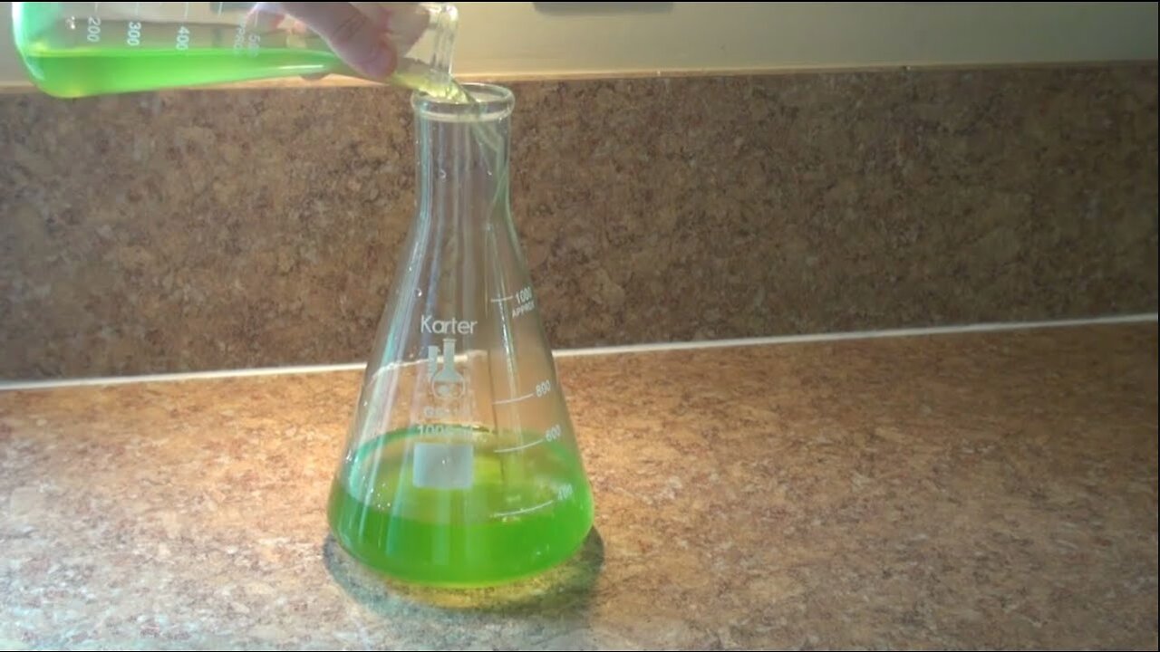 5 Essentials For Culturing Phytoplankton
