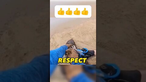 RESPECT #respect #wildlife #shorts