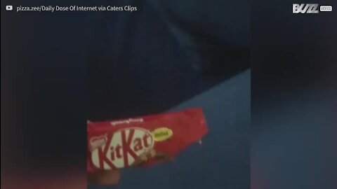 Cette étudiante tombe sur un Kit Kat étonnant