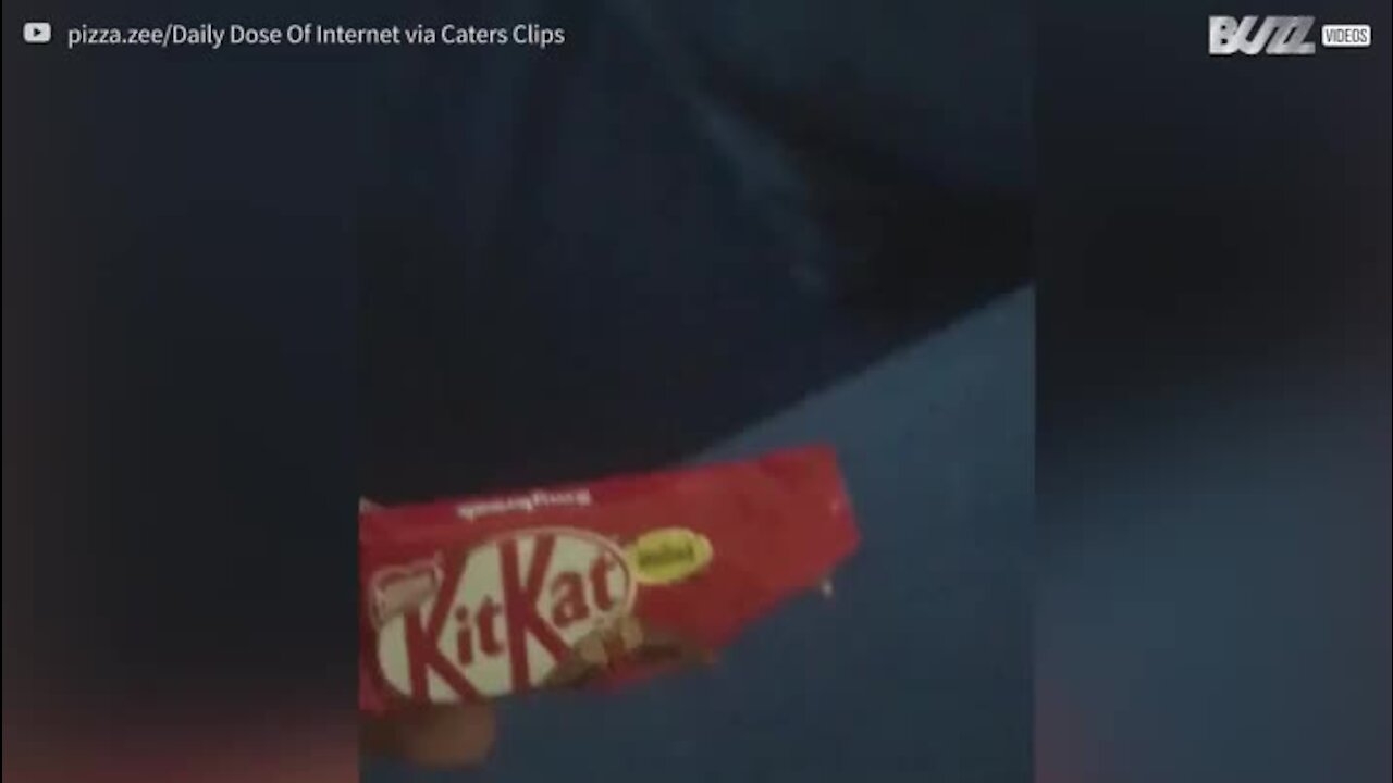 Cette étudiante tombe sur un Kit Kat étonnant