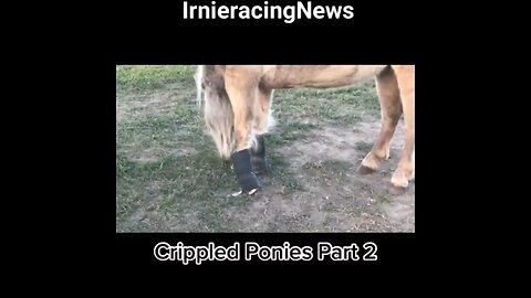 REAL CDN COWBOY- Horse Rescue- Crippled Ponies Pt.2