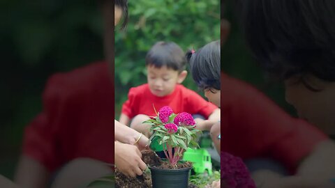 É IMPORTANTE COLOCAR AS MÃOS DA TERRA |#shorts