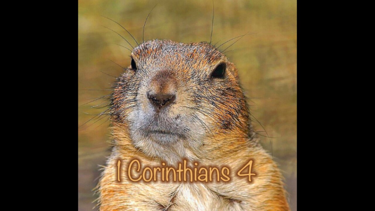 Read the Bible with me. 1 Corinthians 4.