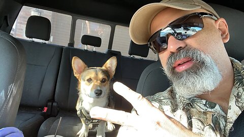 The Roaming Prepper is going live!