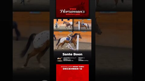 Horsebid.com GROUP 6 ♦𝐓𝐇𝐄 𝓗𝓸𝓻𝓼𝓮𝓶𝓪𝓷'𝓼 𝐒𝐇𝐎𝐖𝐂𝐀𝐒𝐄♦ - online auction ending Monday | December 12th!