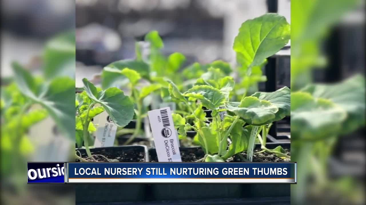 We're Open: North End Organic Nursery still nurturing green thumbs of Boise garden enthusiasts