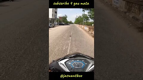 gau mata got no chill #shorts #motovlog #jaswantboo