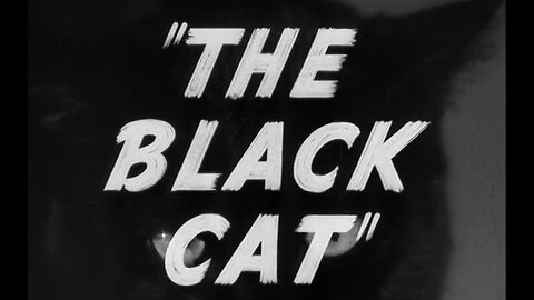 The Black Cat (T-RO'S TOMB Movie Mausoleum)