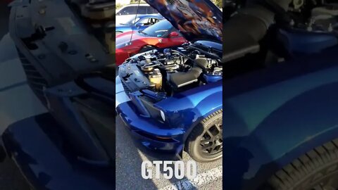 GT500 Shel #shorts #sfmcollective #cars #gt500 #mustang #Ford #shelby #blue #v8 #strada #2022