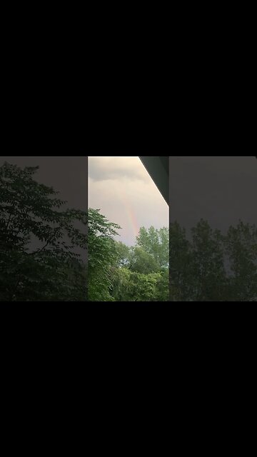 In the Midst of a Storm, a Rainbow Appears