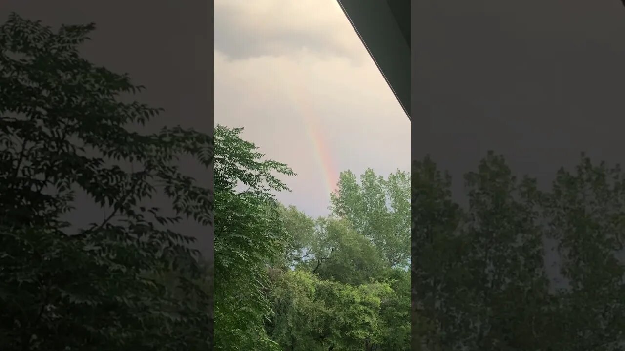 In the Midst of a Storm, a Rainbow Appears