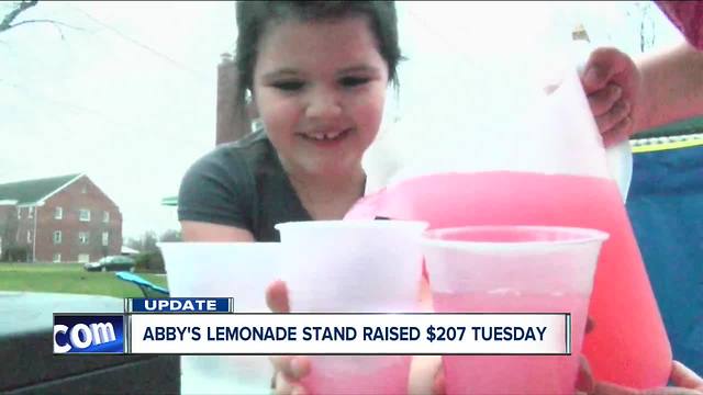 Abby's lemonade stand raises more than $200