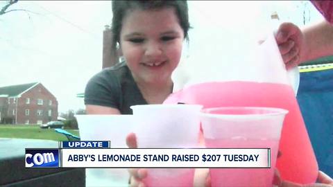 Abby's lemonade stand raises more than $200