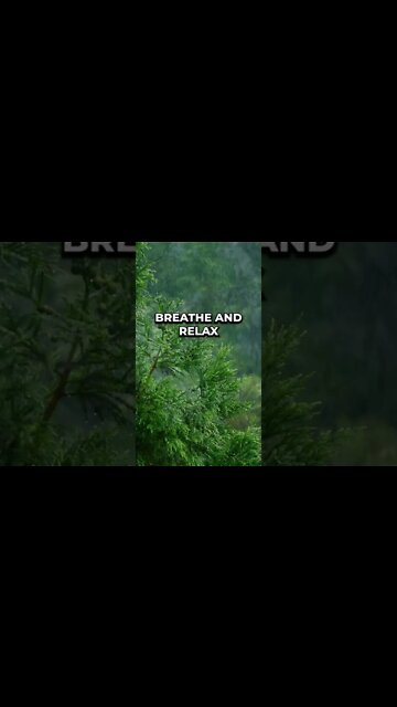 Sink deeper with every breath out and come home with every breath in. #meditation #sleep #shorts