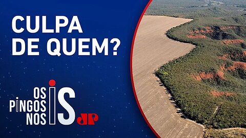 Alertas de desmatamento batem recorde no Cerrado em 2023