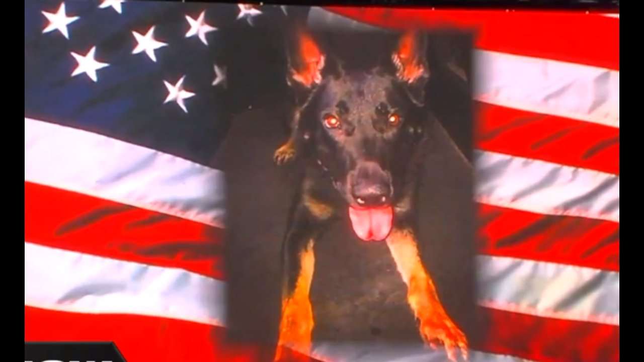 Emotional memorial service held for PBSO K-9 Cigo killed in the line of duty