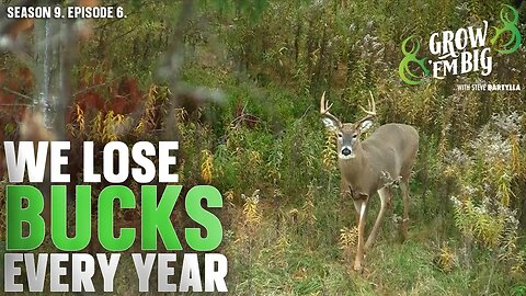 Ask These Questions Before Letting Bucks Walk