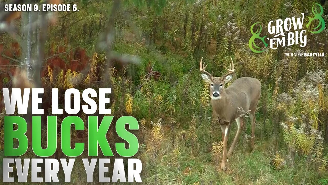 Ask These Questions Before Letting Bucks Walk