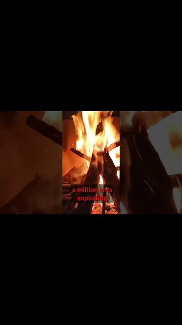 Ants Exploding in Fire #shorts #nature #naturesounds