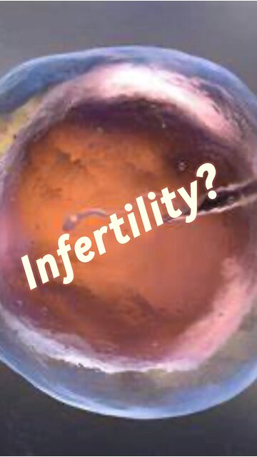 Infertility?