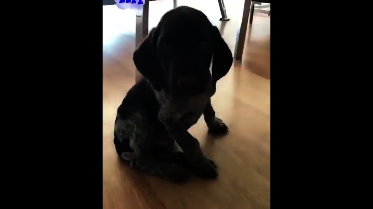 Time to go to sleepy town