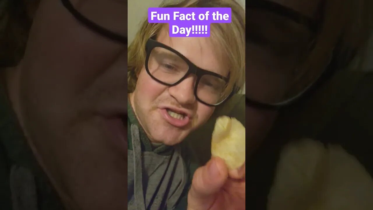 #funfacts