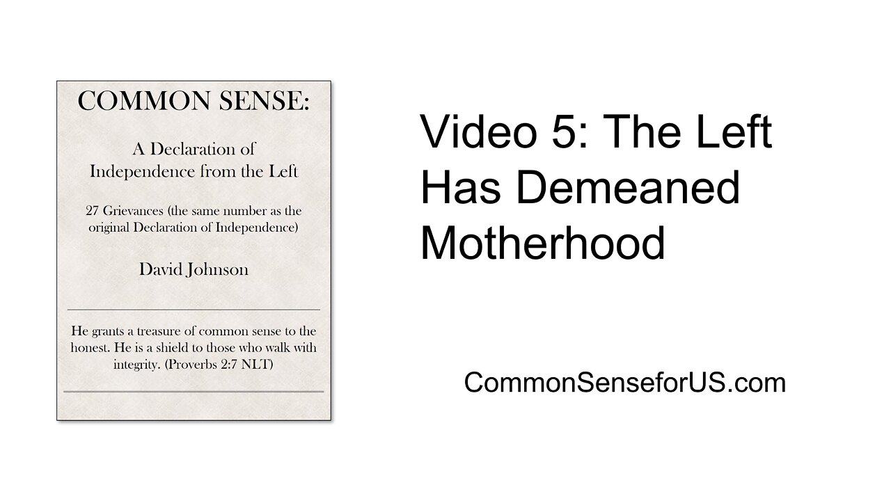 Video 5: The Left Has Demeaned Motherhood