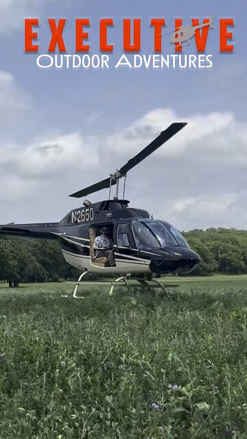 Helicopter hog hunting