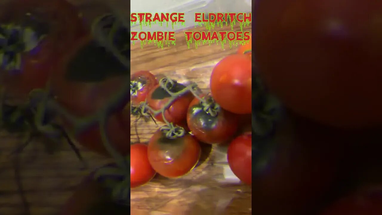 Zombie Tomatoes. Do I have an Eldritch Curse? #shorts