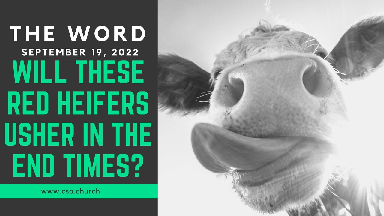 The Word: September 19, 2022