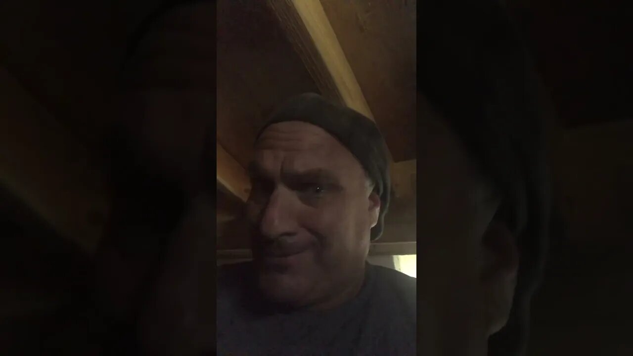 #Metromile is real coou till you be a road-tripping fooo