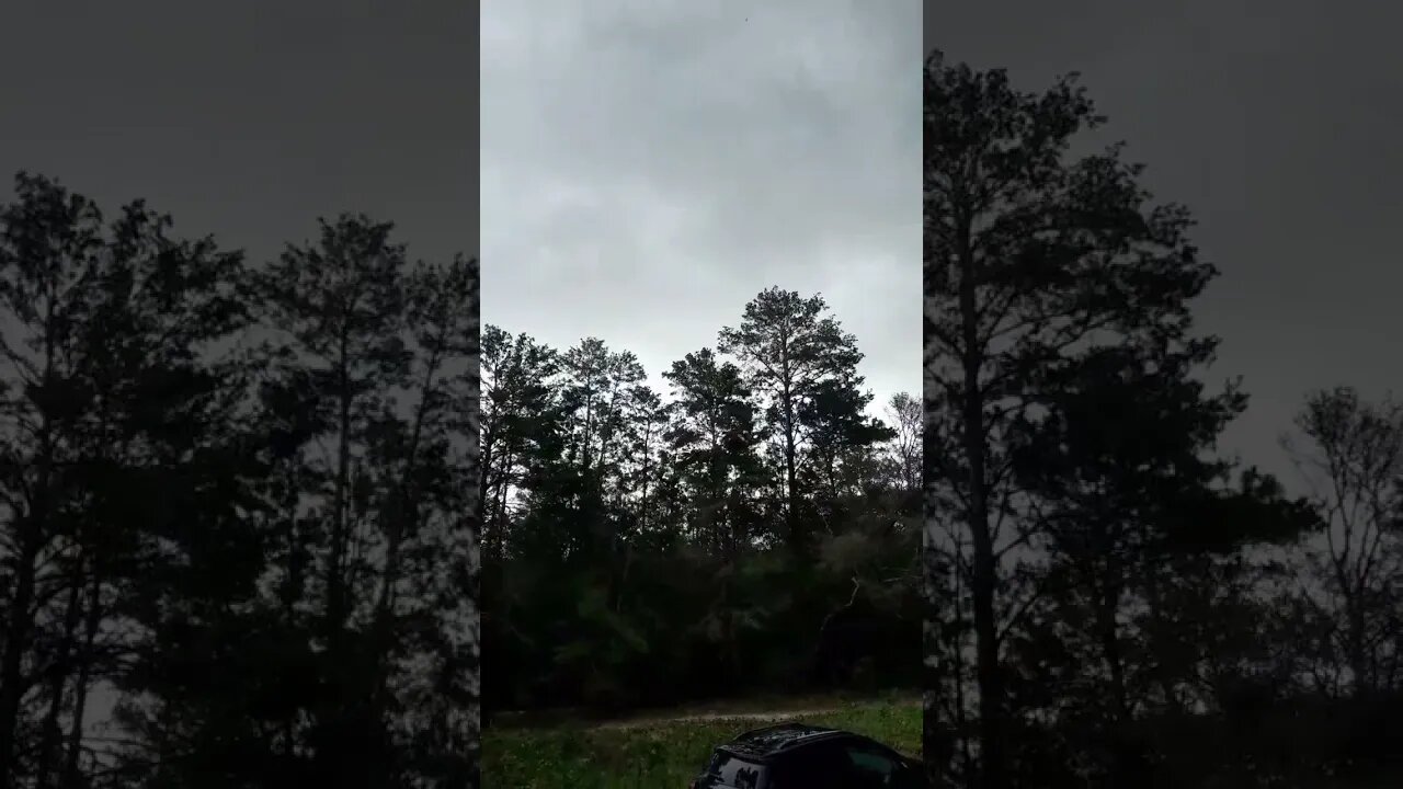 Wind blowing...