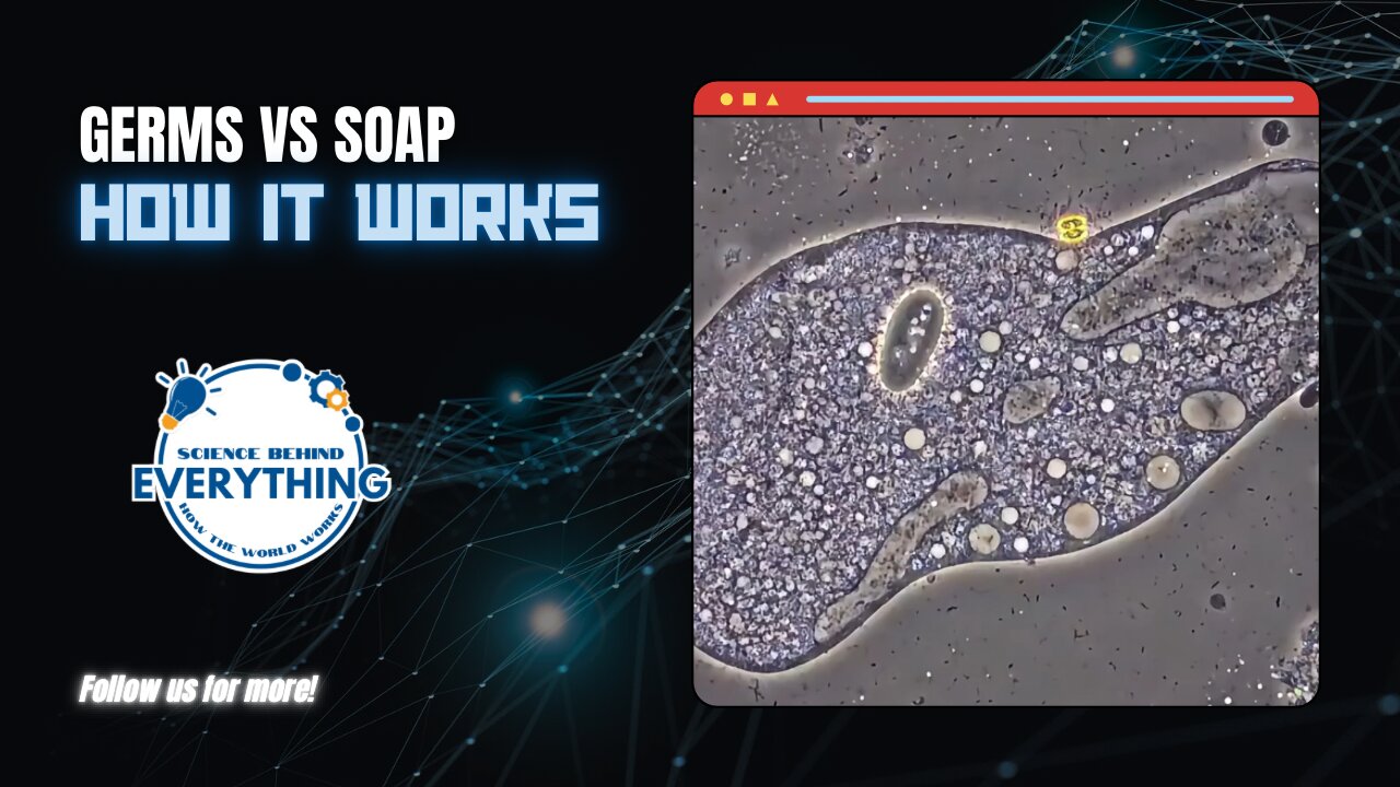 How It Works: Germs vs Soap