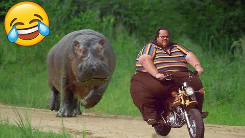 Best Fails of the Year (So Far) 2024