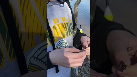 Quick and Easy way to fishing with your child without a fancy Rod and Reel #fishing #fishbait