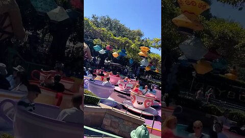 Take a spin on the Mad Tea Party at Disneyland #disneyland #teacups #aliceinwonderland