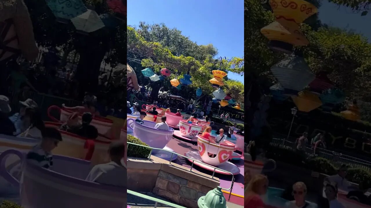Take a spin on the Mad Tea Party at Disneyland #disneyland #teacups #aliceinwonderland
