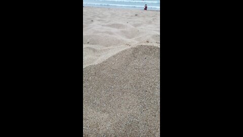 La plage le centre