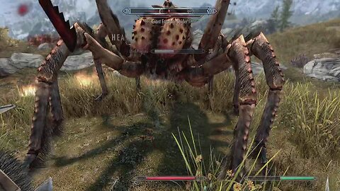 Skyrim | Enjoying the Scenery.