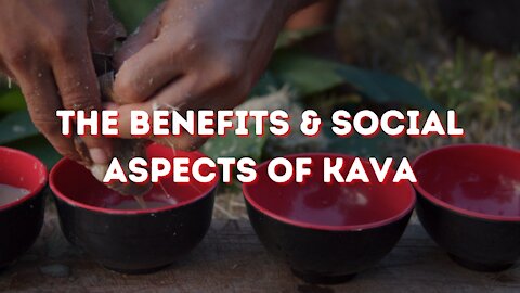 The Benefits & Social Aspects of Kava