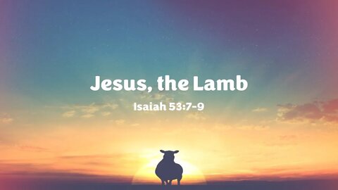 Jesus - the Lamb