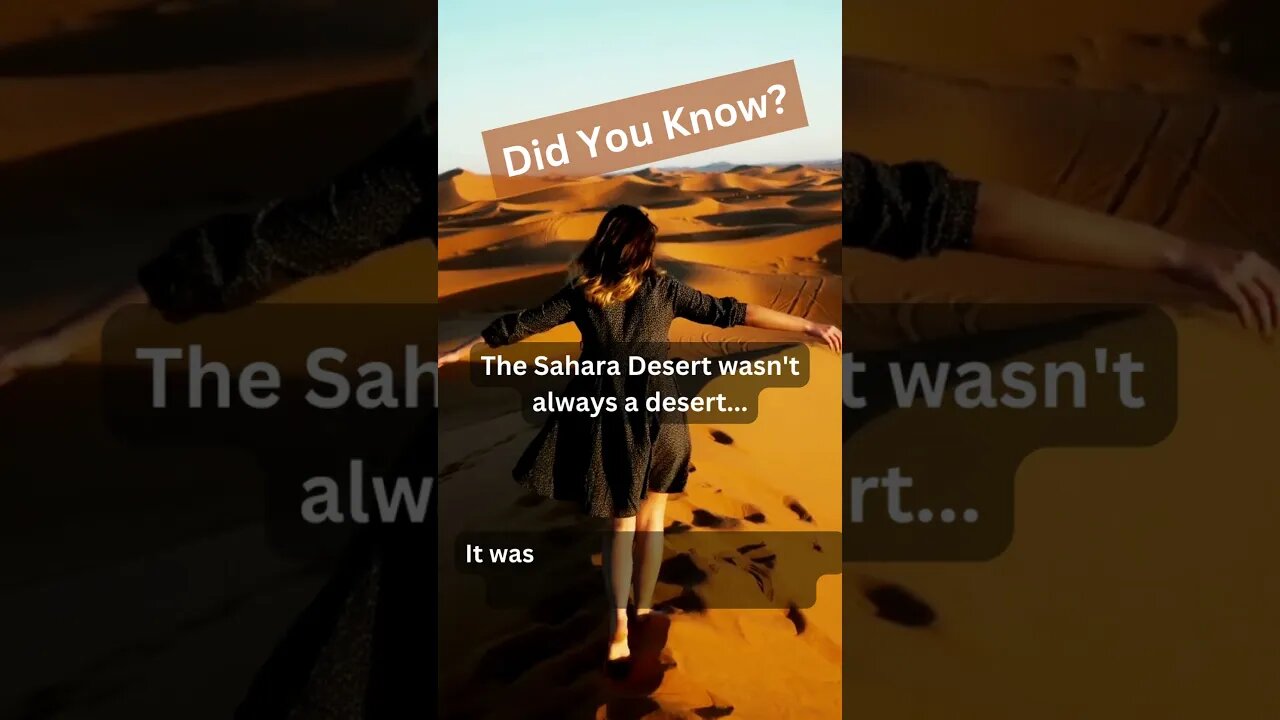 The Sahara Desert : #travel #creazyland #saharadesert