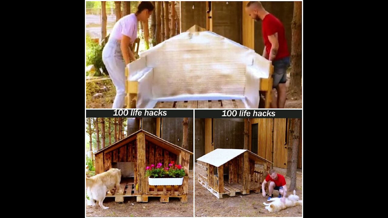 How to build a dog house 🏠 ;vid nice home 🏡🦮🐕‍🦺😱