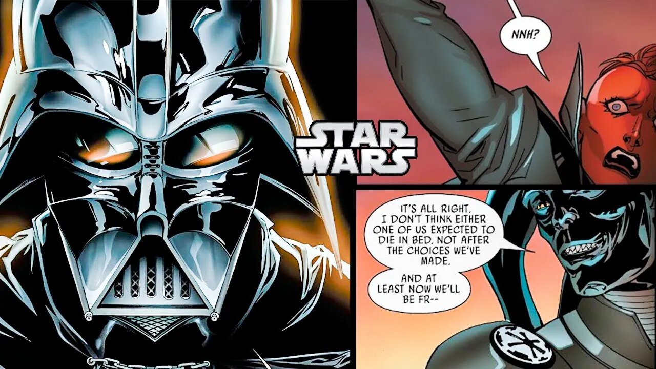 When Vader Met The Inquisitors in Love... (brutal ending)