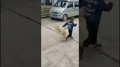 wait for end Cute baby funny video #shorts #viral #kids #cutebaby #youtubeshorts