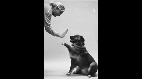 A Woman Training Her Dog