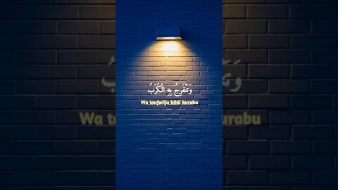 Sholawat Nariyah . #sholawat #sholawatnariyah #shorts