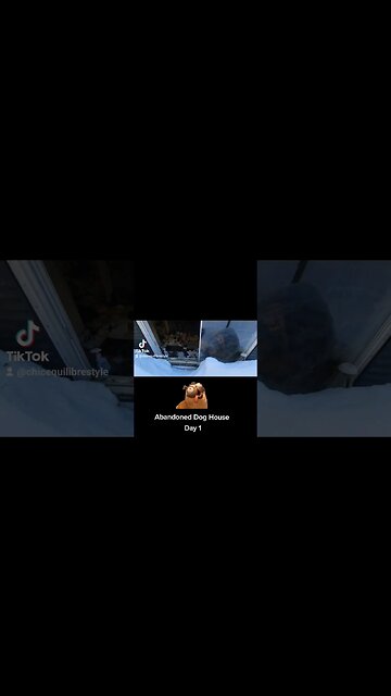 #doghouse #abandonedplaces #omg #trailer #day1 #transformation #find #ytshortsvideo #ytshortscanada