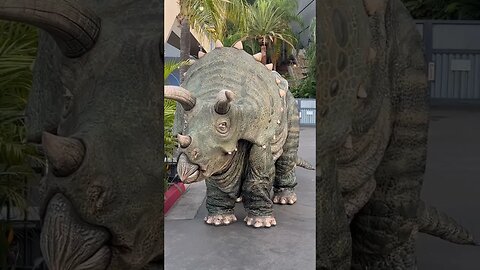 OMG IT’S A TRICERATOPS! #shorts